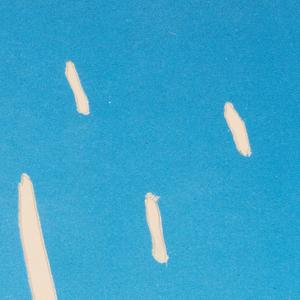 Reverberate (Studio Jam)