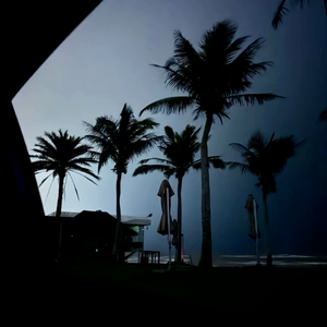 于是我开始回忆所有