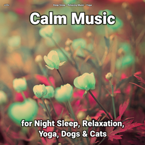 Calm Music Pt. 85