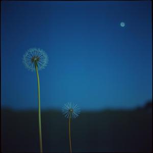 你看不见 (Redesign)