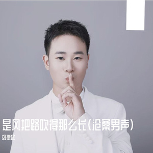 是风把路吹得那么长（沧桑男声） 伴奏