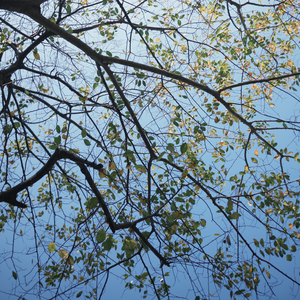 冬雪湖畔的拥抱