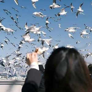 一个人生活 (Cover 四熹丸子)