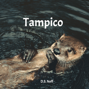 Tampico
