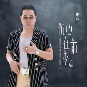 伤心在雨季 (DJ版)
