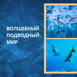 Золотые рыбки