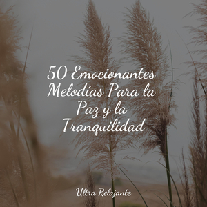 Himnos De La Pasión Por Los Viajes