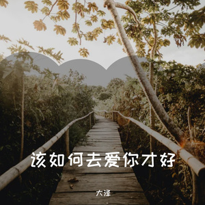 该如何去爱你才好