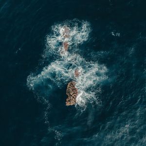 谁念西风独自凉