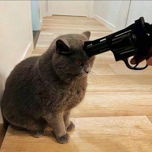 bayram（翻自 Dj-Ataman）