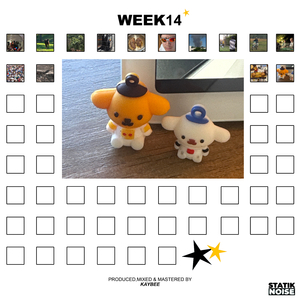 WEEK13