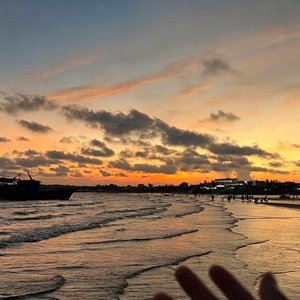 凭这几句晚安我竟敢梦见未来