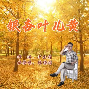 银杏叶儿黄 F带伴唱伴奏