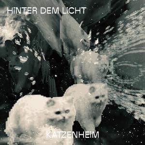 Bevor wir untergehen