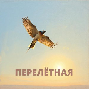 Перелётная