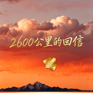 2600公里的回信.mp3
