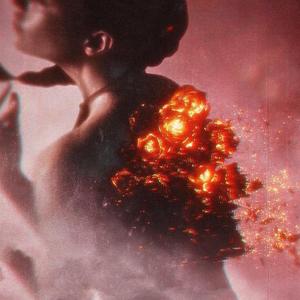 Beauty In Death(绚葬之华）