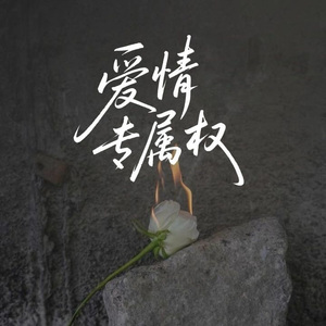 爱情专属权（DJ版）