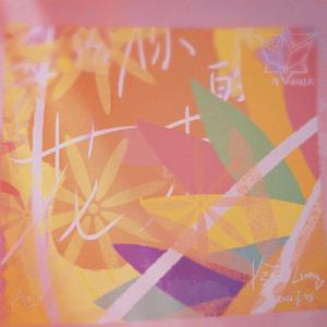 阿尔吉侬的守望