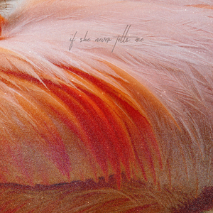 If she ever tells me