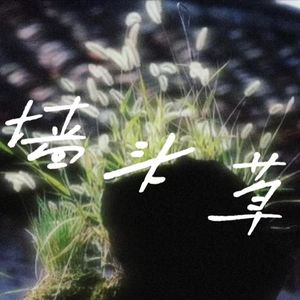 墙头草(prod By 9zi)