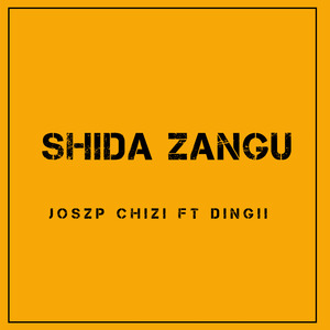 Shida Zangu