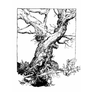 Givre Intérieur
