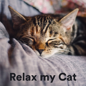 Relax My Cat