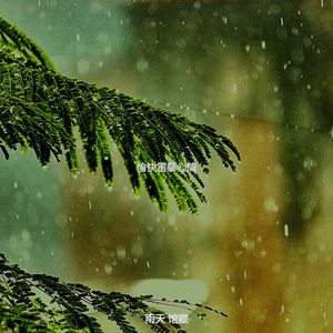 柔和的雨时刻
