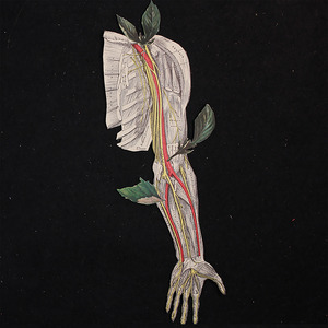 Give Yourself Some Flowers (Electro)