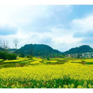 贵州永远在我心(伴奏)