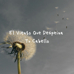 El Viento Que Despeina Tu Cabello