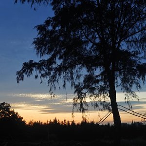 Dreamer（Feat.天界梧桐的漏斗）