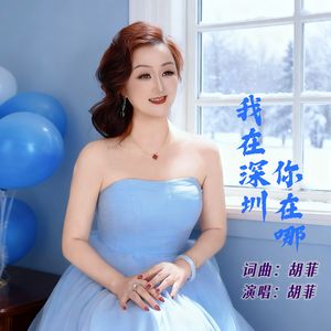 我在深圳你在哪