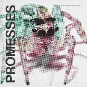 Promesses (feat. neeli, Lakame & 6zoek)
