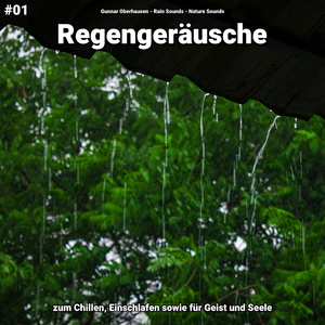 Regengeräusche, pt. 37