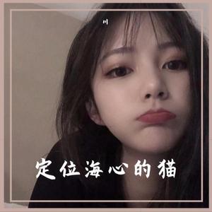 对不起我爱你（DJ版）