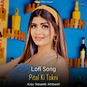 Pital Ki Tokni (lofi remix)