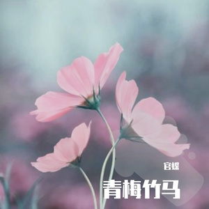 青梅竹马（翻自 陈秋含）