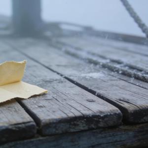 Δυο χαμένα πλοία στο ίδιο κύμα