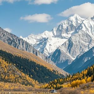 金黄的麦草 伴奏