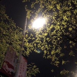 Sakee云雾-把你抱住（追光者Remix）（翻自 Sakee云雾） .mp3（亘 remix）