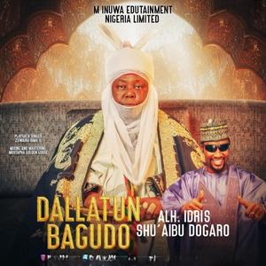 Dallatun Bagudu