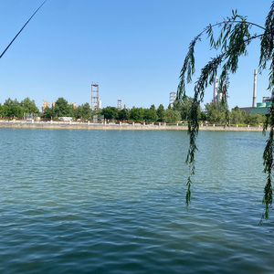 IMG_1100(2)
