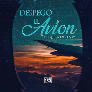 Despegó el Avión