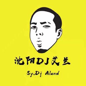 沈阳DJ艾兰独家制作2024商业House大碟（沈阳DJ艾兰 remix）