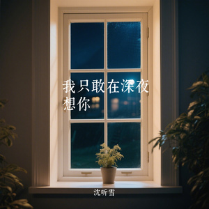我只敢在深夜想你
