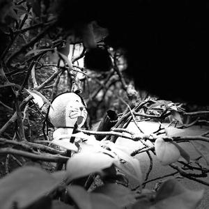 逃离Earth(prod.Veezy)