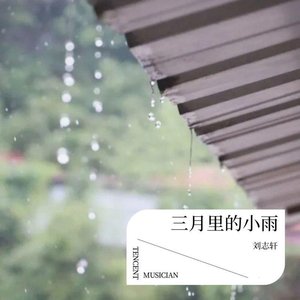 三月里的小雨