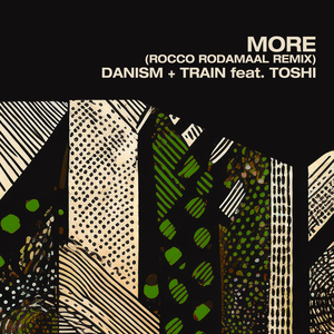 More (Rocco Rodamaal Dub)
